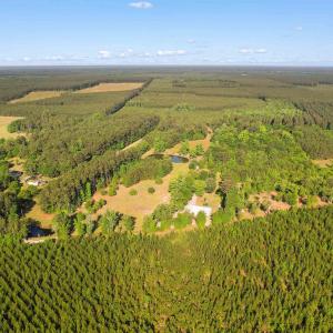 Photo #1 of 1040 Wee Tee Rd., Andrews, SC 20.4 acres