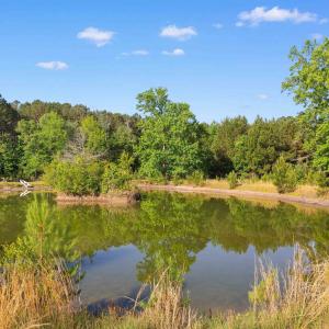 Photo #14 of 1040 Wee Tee Rd., Andrews, SC 20.4 acres
