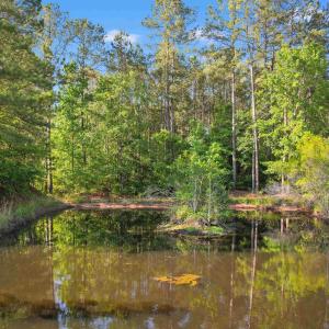 Photo #6 of 1040 Wee Tee Rd., Andrews, SC 20.4 acres