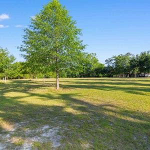 Photo #18 of 1040 Wee Tee Rd., Andrews, SC 20.4 acres