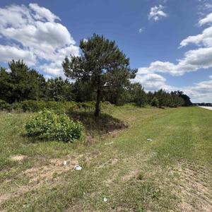 Photo #3 of Highway 501 Bypass, Marion, SC 18.7 acres
