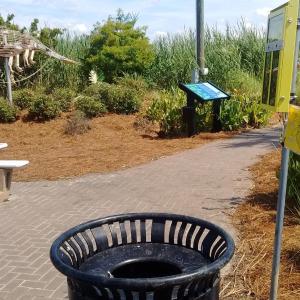 Photo #4 of 252 &253 Winyah St., Georgetown, SC 0.2 acres