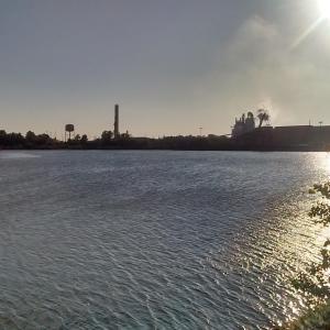 Photo #7 of 252 &253 Winyah St., Georgetown, SC 0.2 acres