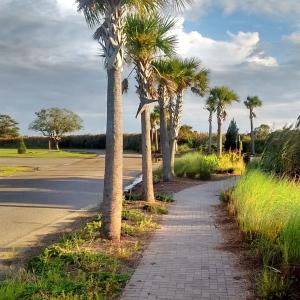 Photo #2 of 252 &253 Winyah St., Georgetown, SC 0.2 acres