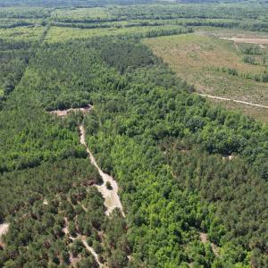 Photo #14 of 43 Acres - 5432 Juneburn Rd., Manning, SC 43.0 acres