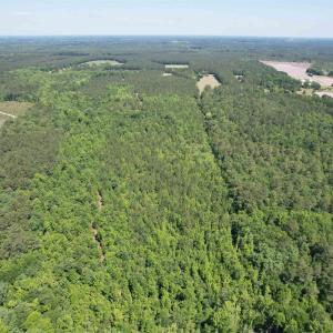 Photo #20 of 43 Acres - 5432 Juneburn Rd., Manning, SC 43.0 acres