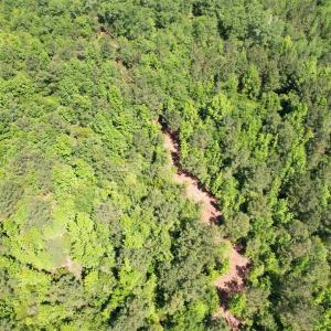Photo #21 of 43 Acres - 5432 Juneburn Rd., Manning, SC 43.0 acres