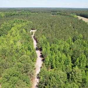Photo #23 of 43 Acres - 5432 Juneburn Rd., Manning, SC 43.0 acres