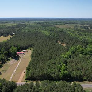 Photo #11 of 43 Acres - 5432 Juneburn Rd., Manning, SC 43.0 acres