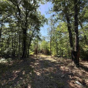 Photo #6 of 43 Acres - 5432 Juneburn Rd., Manning, SC 43.0 acres