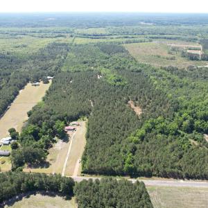 Photo #12 of 43 Acres - 5432 Juneburn Rd., Manning, SC 43.0 acres