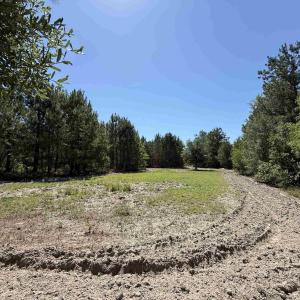 Photo #1 of 43 Acres - 5432 Juneburn Rd., Manning, SC 43.0 acres