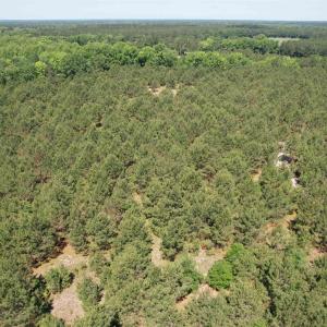 Photo #25 of 43 Acres - 5432 Juneburn Rd., Manning, SC 43.0 acres