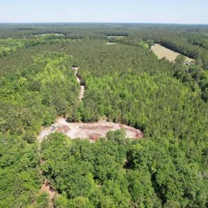 Photo #22 of 43 Acres - 5432 Juneburn Rd., Manning, SC 43.0 acres