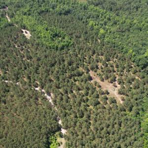 Photo #13 of 43 Acres - 5432 Juneburn Rd., Manning, SC 43.0 acres