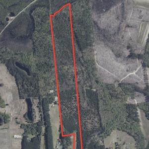 Photo #32 of 43 Acres - 5432 Juneburn Rd., Manning, SC 43.0 acres