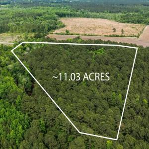 Photo #10 of 2850 Gause Rd., Loris, SC 11.0 acres