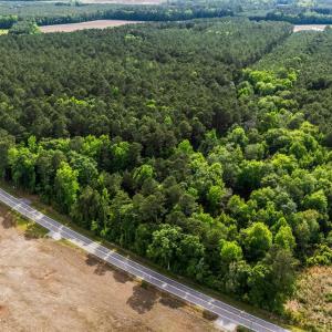Photo #6 of 2850 Gause Rd., Loris, SC 11.0 acres