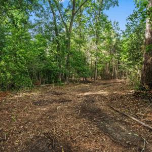 Photo #16 of 2850 Gause Rd., Loris, SC 11.0 acres