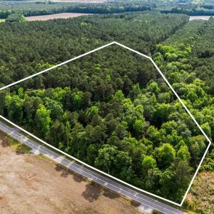 Photo #5 of 2850 Gause Rd., Loris, SC 11.0 acres