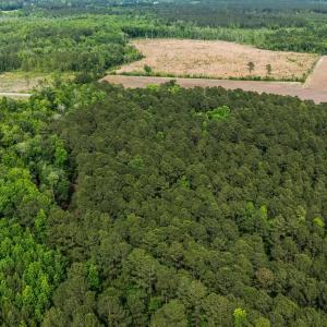 Photo #12 of 2850 Gause Rd., Loris, SC 11.0 acres