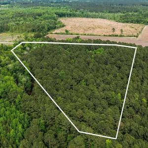 Photo #11 of 2850 Gause Rd., Loris, SC 11.0 acres