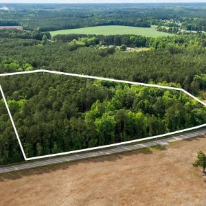 Photo #8 of 2850 Gause Rd., Loris, SC 11.0 acres