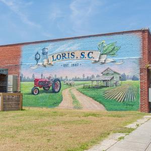 Photo #23 of 2850 Gause Rd., Loris, SC 11.0 acres