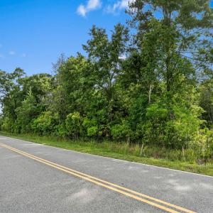 Photo #14 of 2850 Gause Rd., Loris, SC 11.0 acres