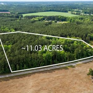 Photo #7 of 2850 Gause Rd., Loris, SC 11.0 acres