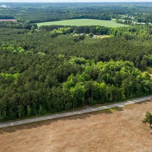 Photo #9 of 2850 Gause Rd., Loris, SC 11.0 acres