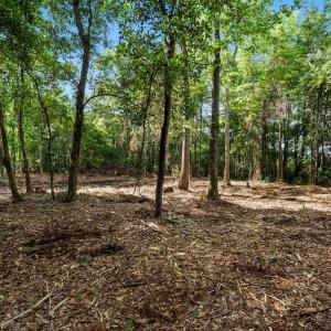 Photo #18 of 2850 Gause Rd., Loris, SC 11.0 acres