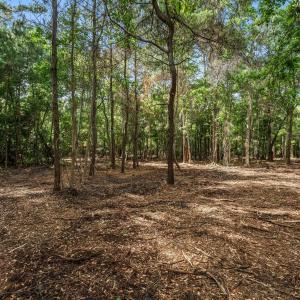 Photo #17 of 2850 Gause Rd., Loris, SC 11.0 acres