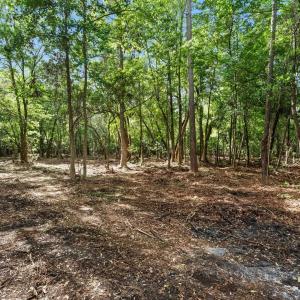 Photo #19 of 2850 Gause Rd., Loris, SC 11.0 acres
