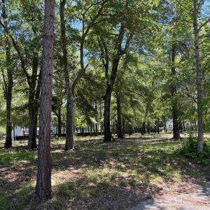 Photo #2 of 32 Crescent Dr., Georgetown, SC 0.1 acres