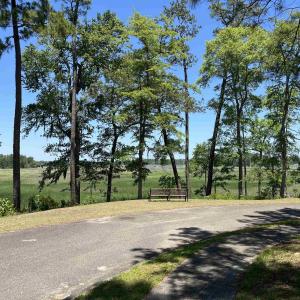 Photo #3 of 32 Crescent Dr., Georgetown, SC 0.1 acres