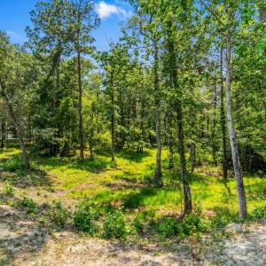 Photo #18 of 508 Chamberlin Rd., Myrtle Beach, SC 0.6 acres
