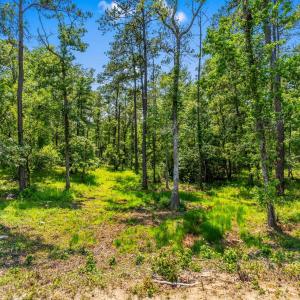 Photo #19 of 508 Chamberlin Rd., Myrtle Beach, SC 0.6 acres