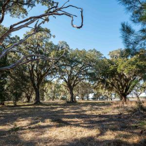 Photo #9 of 1939 Mauricena Rd., Georgetown, SC 1.0 acres