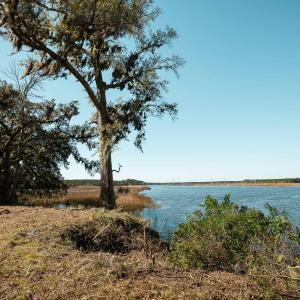 Photo #2 of 1939 Mauricena Rd., Georgetown, SC 1.0 acres