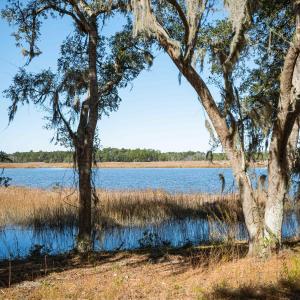 Photo #6 of 1939 Mauricena Rd., Georgetown, SC 1.0 acres