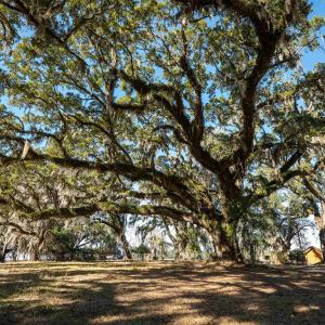 Photo #5 of 1939 Mauricena Rd., Georgetown, SC 1.0 acres