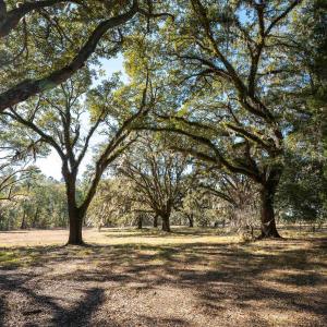 Photo #10 of 1939 Mauricena Rd., Georgetown, SC 1.0 acres