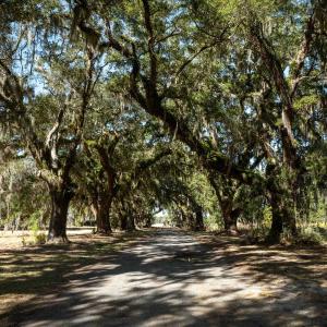 Photo #4 of 1939 Mauricena Rd., Georgetown, SC 1.0 acres