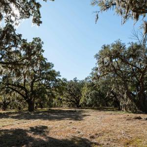 Photo #13 of 1939 Mauricena Rd., Georgetown, SC 1.0 acres