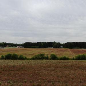 Photo #4 of 2680 Green Sea Rd., Green Sea, SC 112.0 acres
