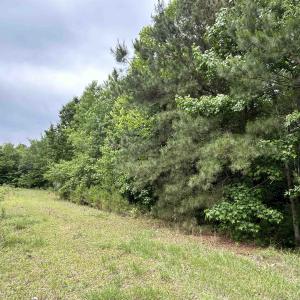 Photo #11 of 2680 Green Sea Rd., Green Sea, SC 112.0 acres