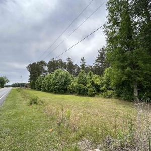 Photo #26 of 2680 Green Sea Rd., Green Sea, SC 112.0 acres