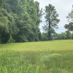 Photo #27 of 2680 Green Sea Rd., Green Sea, SC 112.0 acres