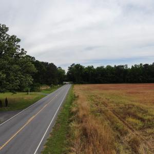 Photo #6 of 2680 Green Sea Rd., Green Sea, SC 112.0 acres